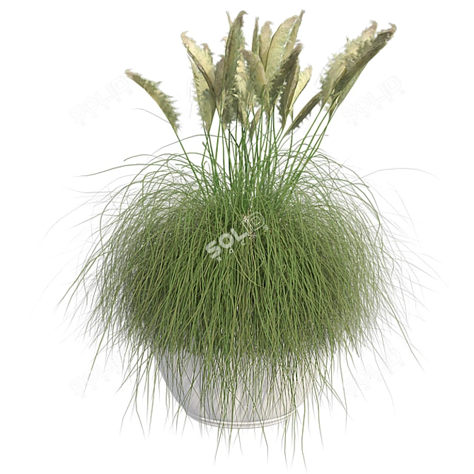 Pampas Grass: Stylish Pot Included 3D model image 1