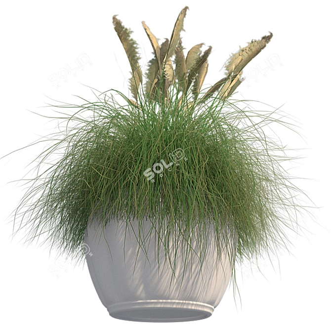 Pampas Grass: Stylish Pot Included 3D model image 4