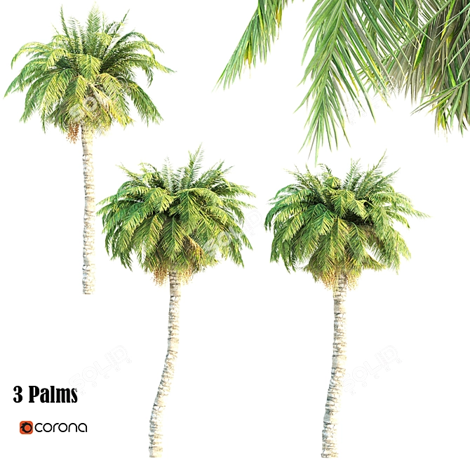 Tall Triple Palm Set 3D model image 1