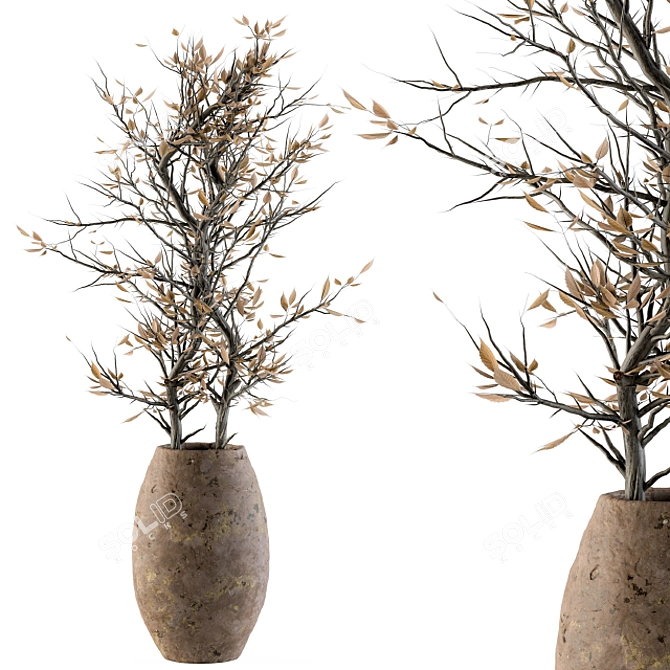 Natural Beauty: Indoor Dried Plant Set 3D model image 1