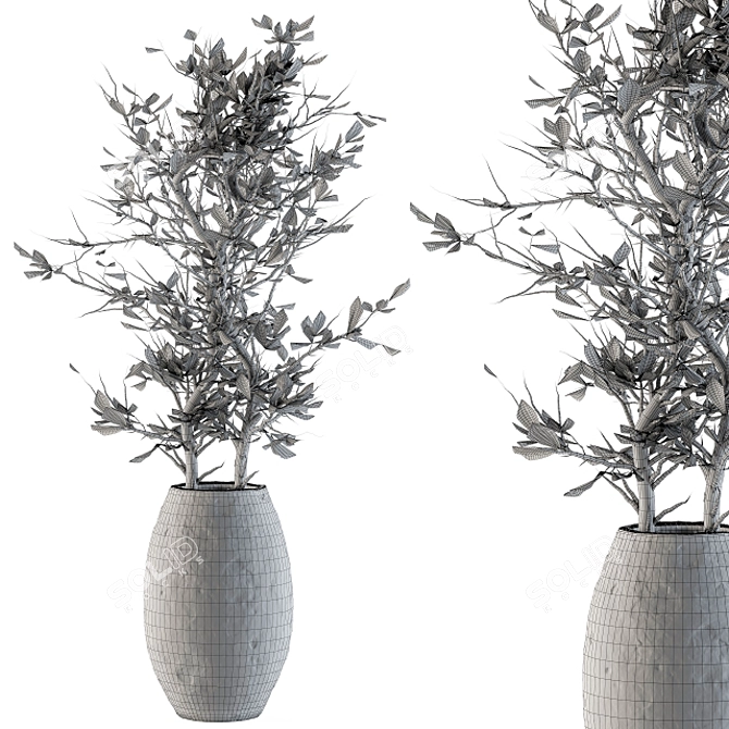 Natural Beauty: Indoor Dried Plant Set 3D model image 4
