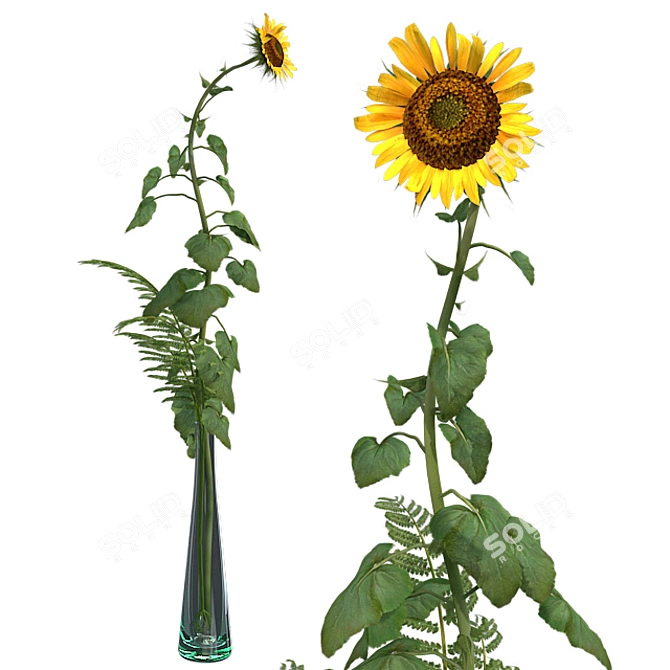 Sunflower in Vase 3D model image 2