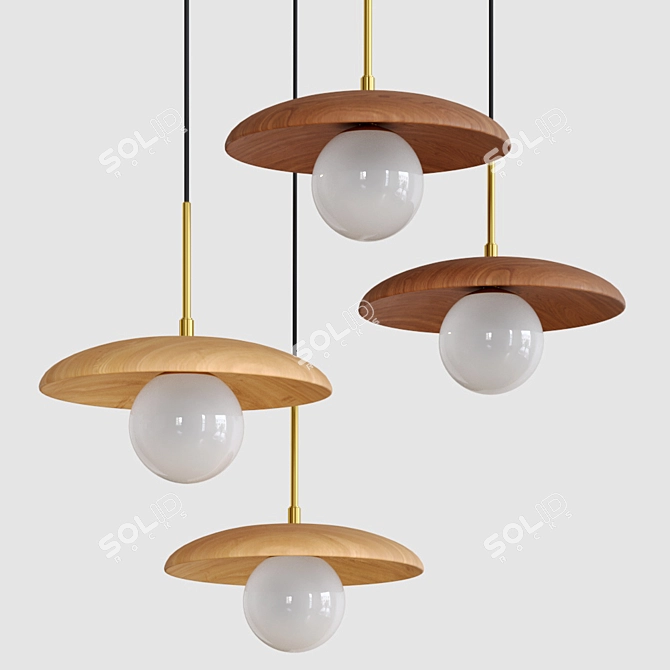 Natural Wood Pendant Light 3D model image 1