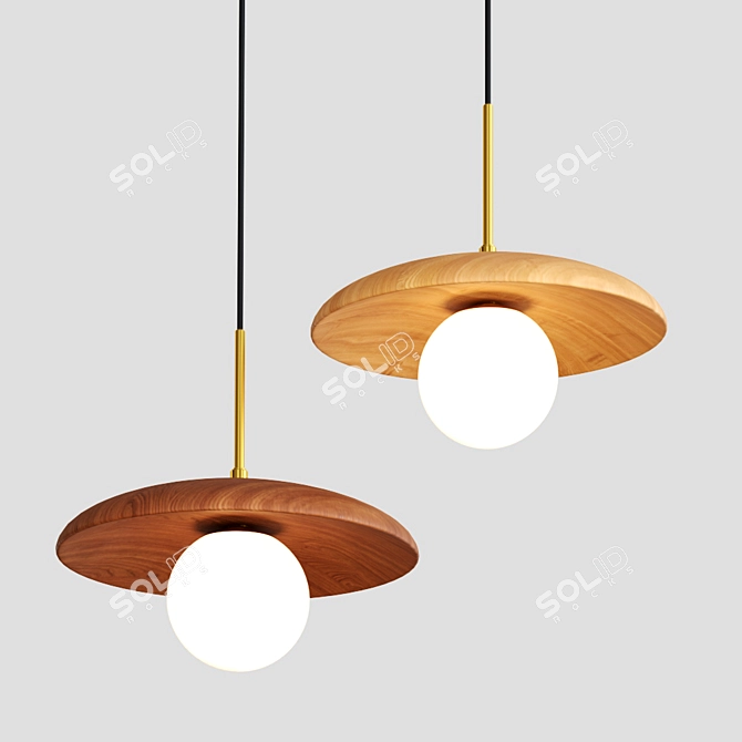 Natural Wood Pendant Light 3D model image 2