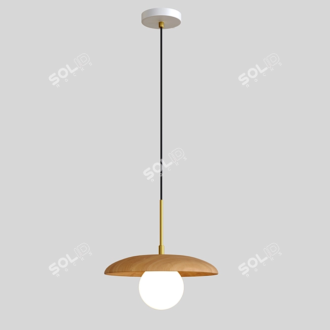 Natural Wood Pendant Light 3D model image 3