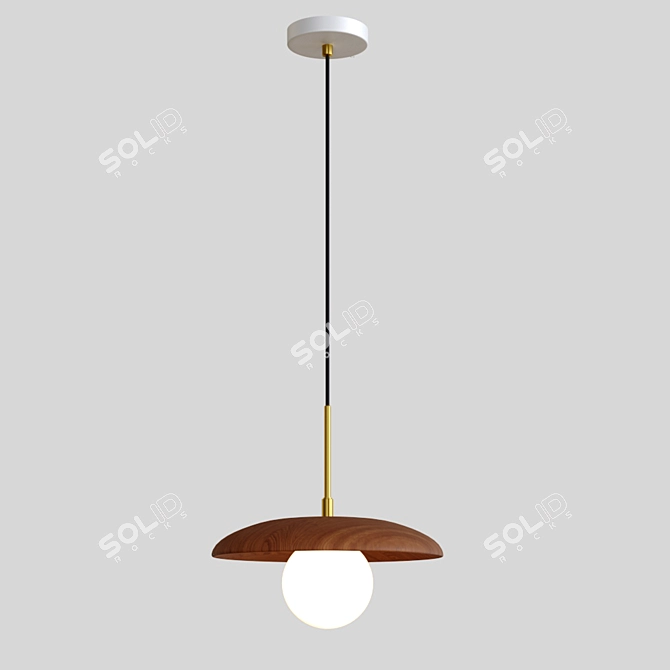 Natural Wood Pendant Light 3D model image 4