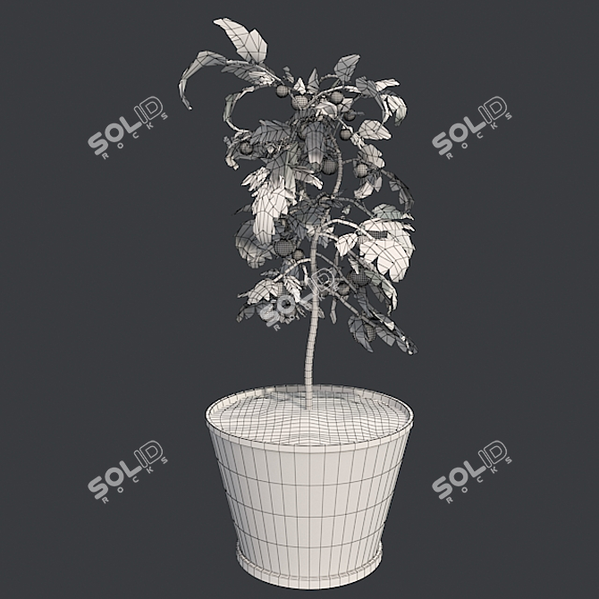 Quad Tomato Pot: Real-World Scale, Clean Topology! 3D model image 5