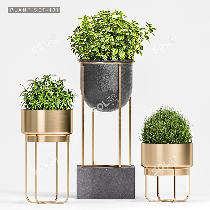 Elegant Plant Set - 3ds Max & OBJ 3D model image 3