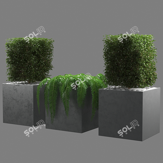 Botanical Beauty: 648k Polygon Plant 3D model image 2