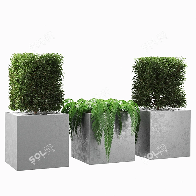 Botanical Beauty: 648k Polygon Plant 3D model image 5