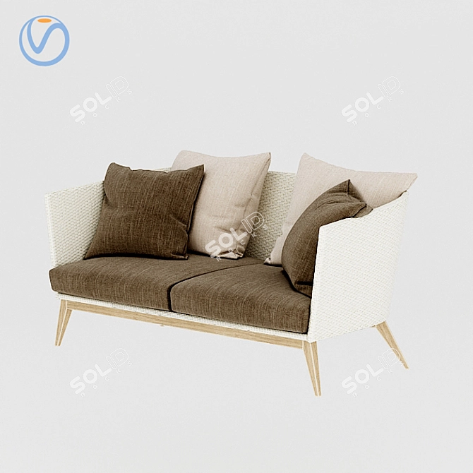Modern Double Sofa with Cushion Texture 3D model image 2