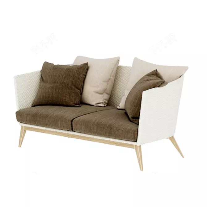 Modern Double Sofa with Cushion Texture 3D model image 9