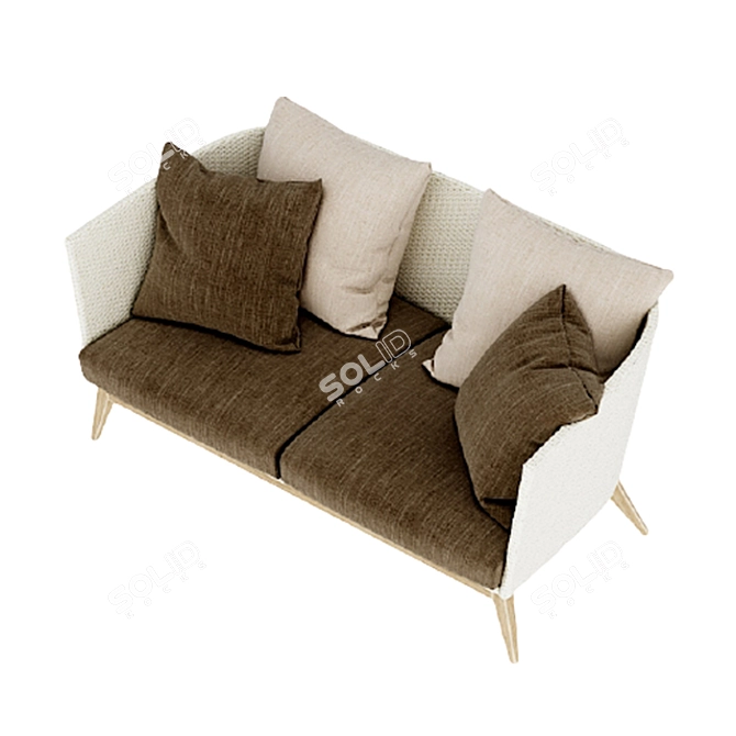 Modern Double Sofa with Cushion Texture 3D model image 11