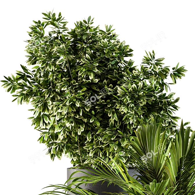 90-Piece Indoor Plant Set: Black & Gold 3D model image 3