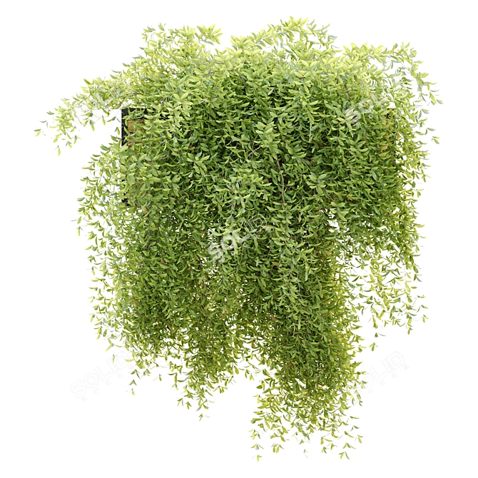 Wooden Hanging Plant Pot 3D model image 5