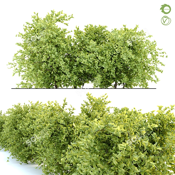  Prolific Bush 2: 1m Height, 443K polys, Separated Branches & Leaves 3D model image 1