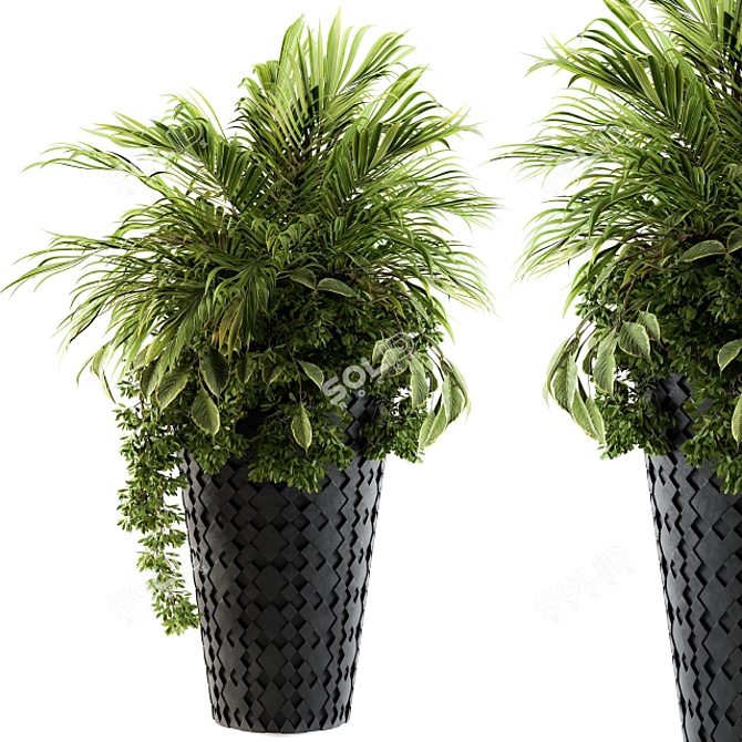 Tropical Elegance: Indoor Palm Set 3D model image 1