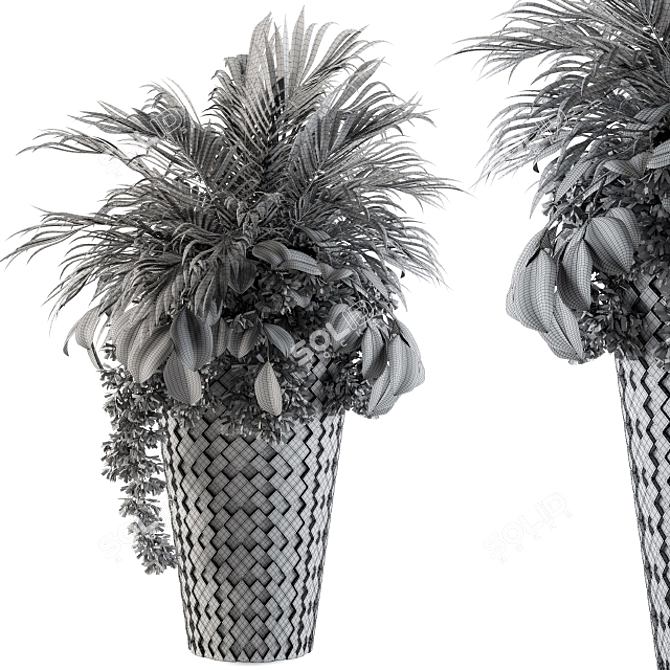 Tropical Elegance: Indoor Palm Set 3D model image 4