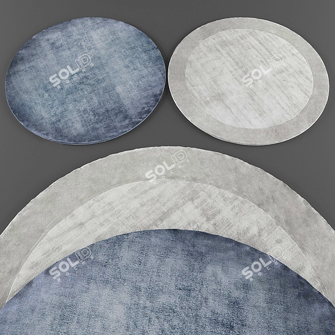 Archived Rug Collection 3D model image 2