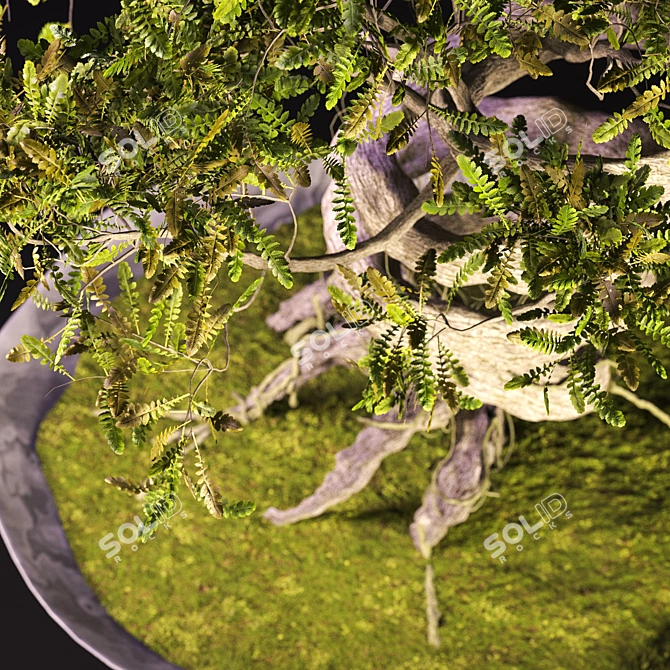 Speedtree Designed Weed Bonsai 3D model image 2