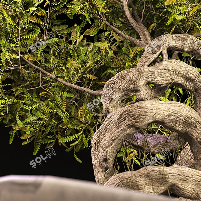 Speedtree Designed Weed Bonsai 3D model image 3