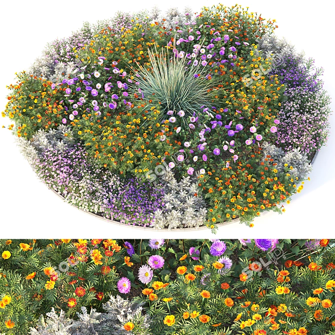 Beautiful Blooming 4m Flower Bed 3D model image 1