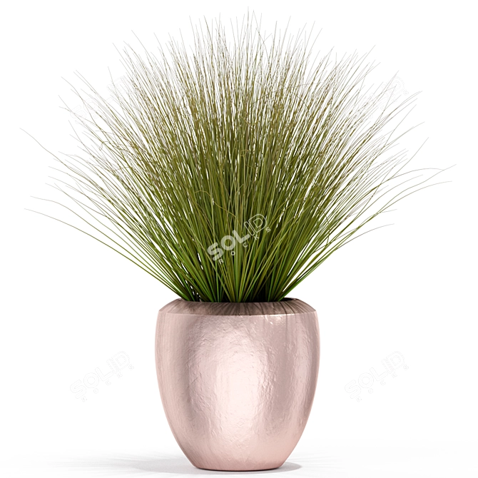 Exquisite 396 Plant Collection 3D model image 2