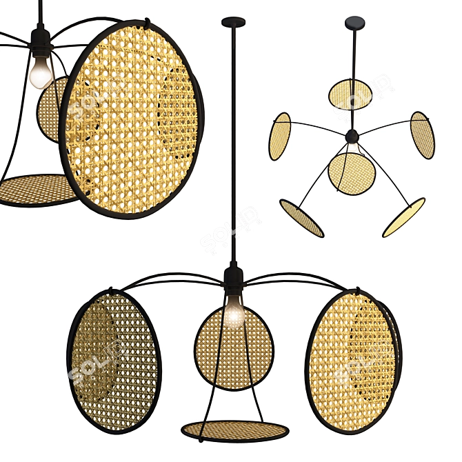 Natural Rattan Pendant Lamp 3D model image 1