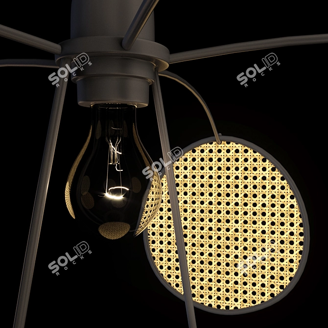 Natural Rattan Pendant Lamp 3D model image 2