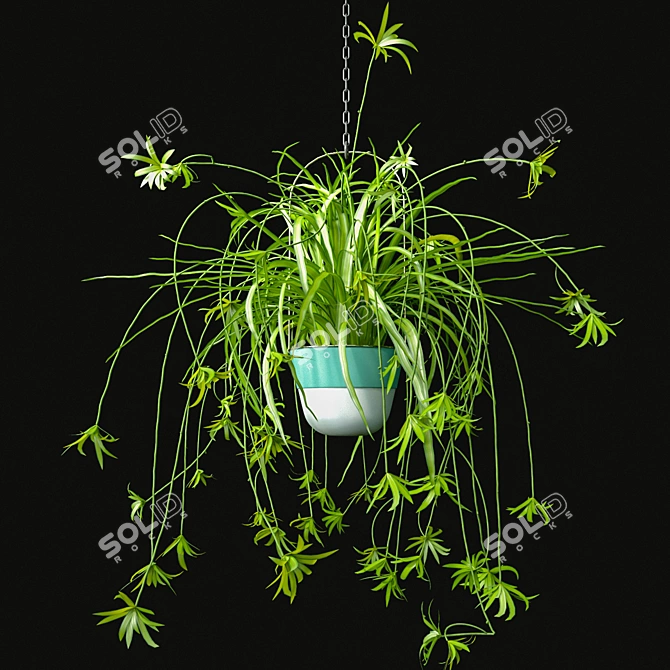 Indoor Hanging Plants Set 3D model image 2