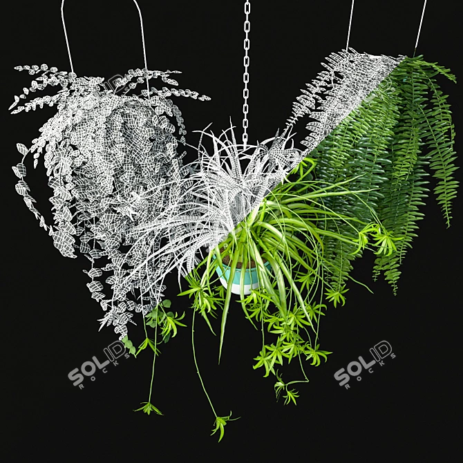 Indoor Hanging Plants Set 3D model image 5