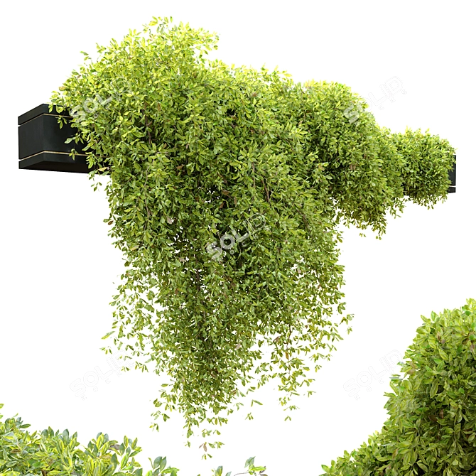 Versatile Hanging Plant Pot 3D model image 4