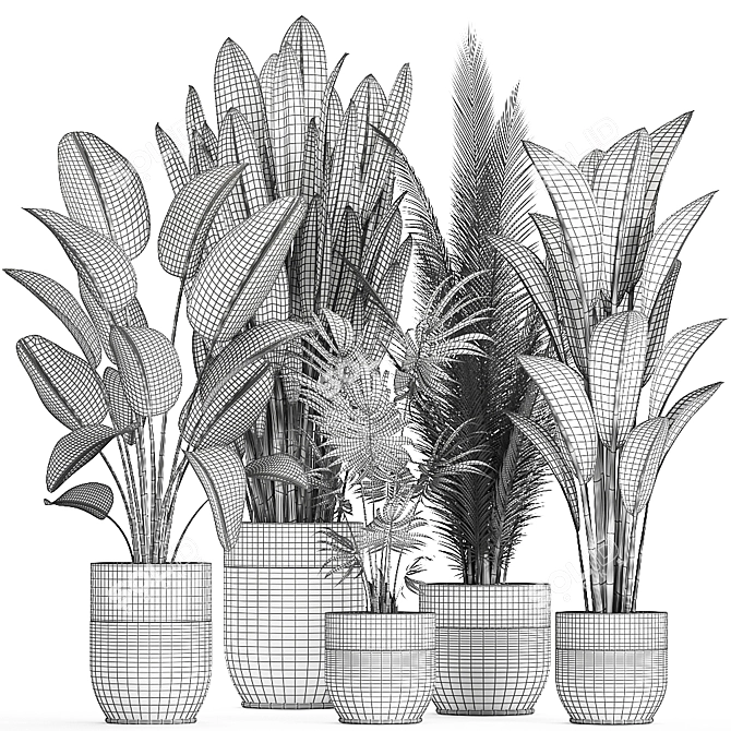 Tropical Plant Collection 3D model image 5