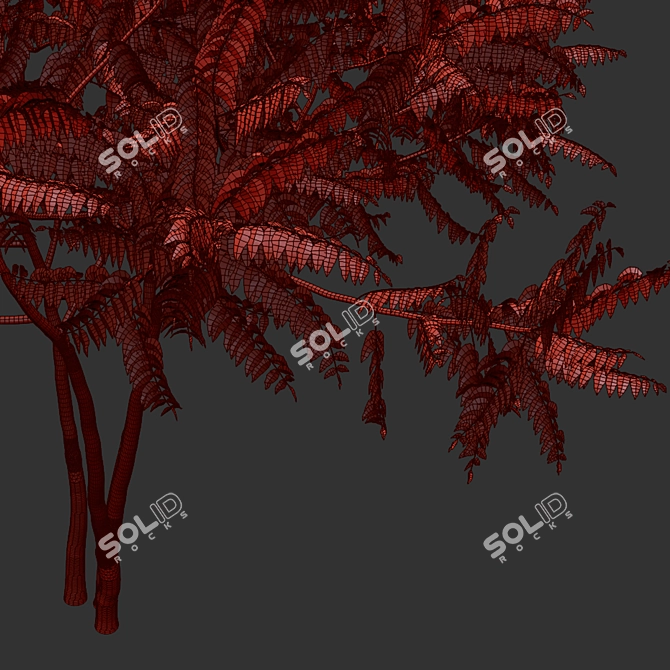 Aylant 3-in-1: Ailanthus Altissima Collection 3D model image 4