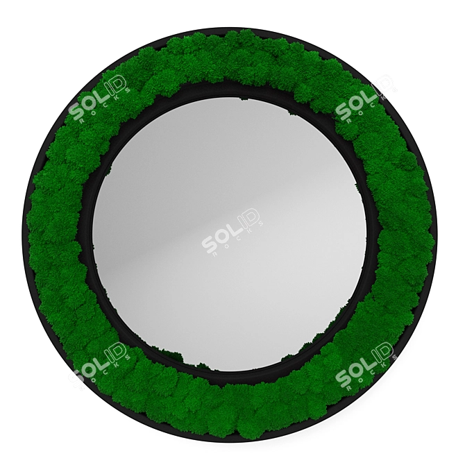 Nature-Inspired Moss Frame Mirror 3D model image 1