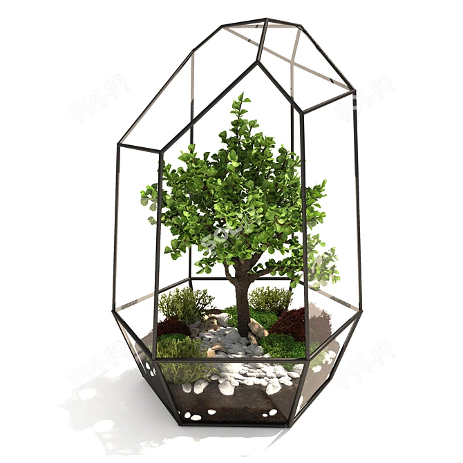 Botanical Glass Terrarium 3D model image 1