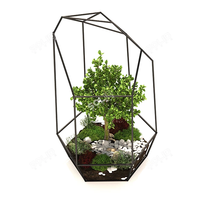 Botanical Glass Terrarium 3D model image 2