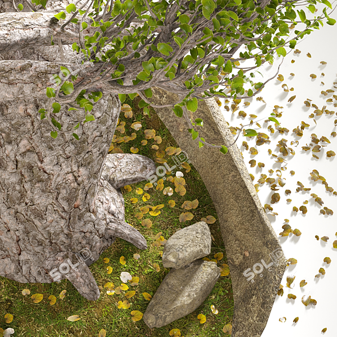  Serene Bonsai Winds 3D model image 2