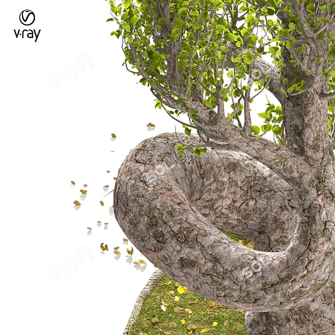  Serene Bonsai Winds 3D model image 3