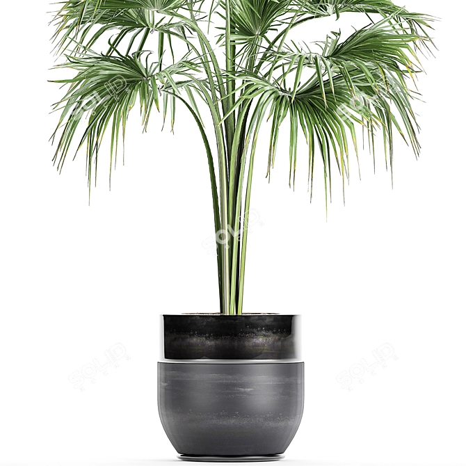 Title: Exotic Plant Collection in Black Vases 3D model image 3