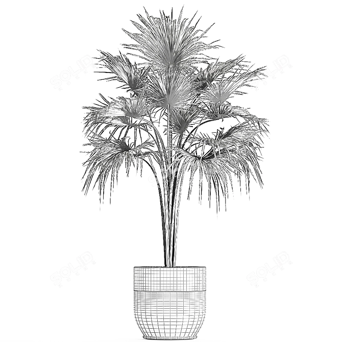 Title: Exotic Plant Collection in Black Vases 3D model image 5