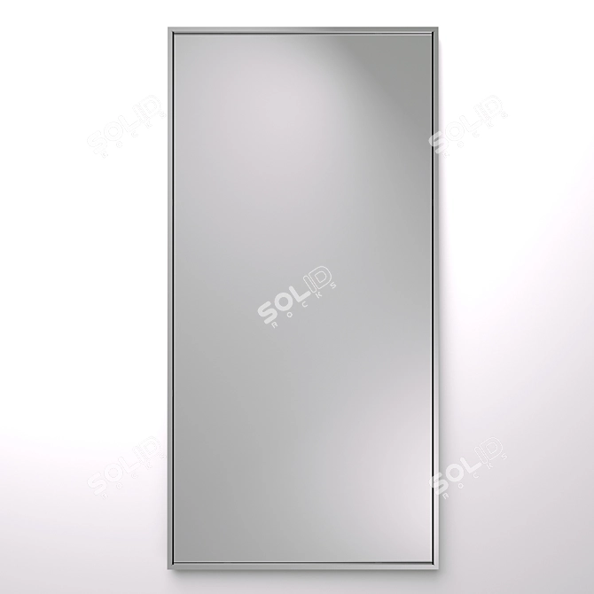 Stainless Steel Framed Mirror 3D model image 1