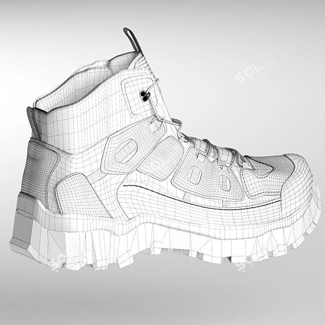 Versatile Corona Shoe Collection 3D model image 3