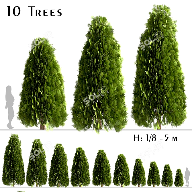 10 Stunning Thuja Occidentalis Trees 3D model image 1