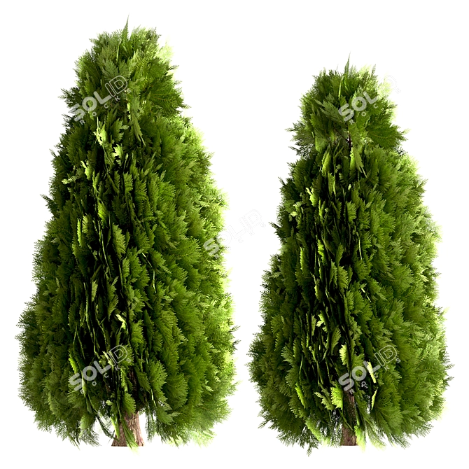 10 Stunning Thuja Occidentalis Trees 3D model image 5