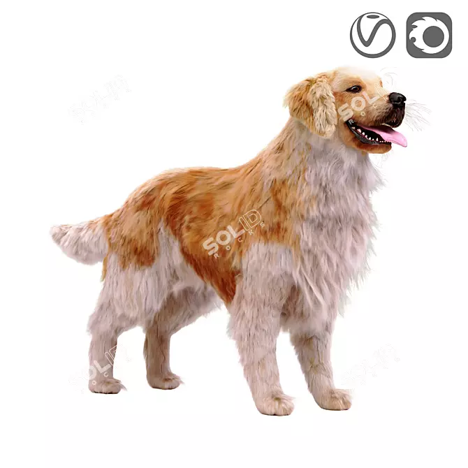 Golden Retriever: Beautiful Hunting Dog 3D model image 1