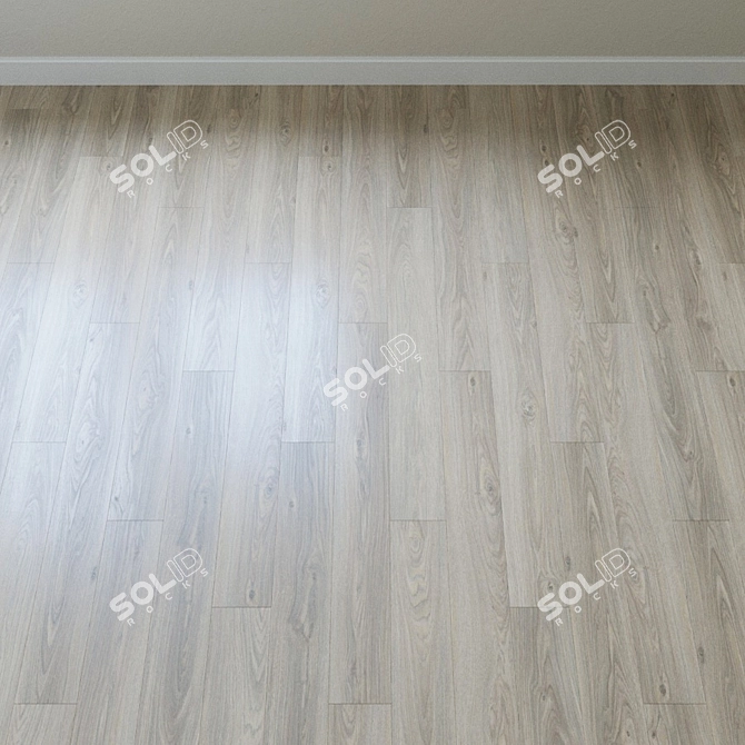 Highland Oak Laminate Flooring 3D model image 2