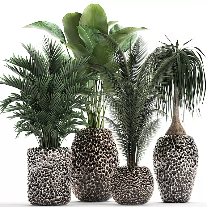 Exotic Plant Collection: Banana Palm, Ravenala, Strelitzia 3D model image 1