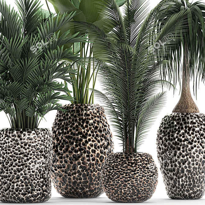 Exotic Plant Collection: Banana Palm, Ravenala, Strelitzia 3D model image 2