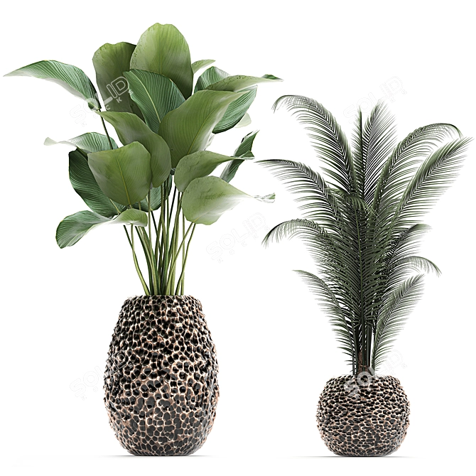 Exotic Plant Collection: Banana Palm, Ravenala, Strelitzia 3D model image 3